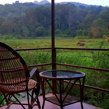 Jungle Retreat Wayanad Villa Eksteriør billede