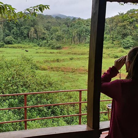 Jungle Retreat Wayanad Villa Eksteriør billede