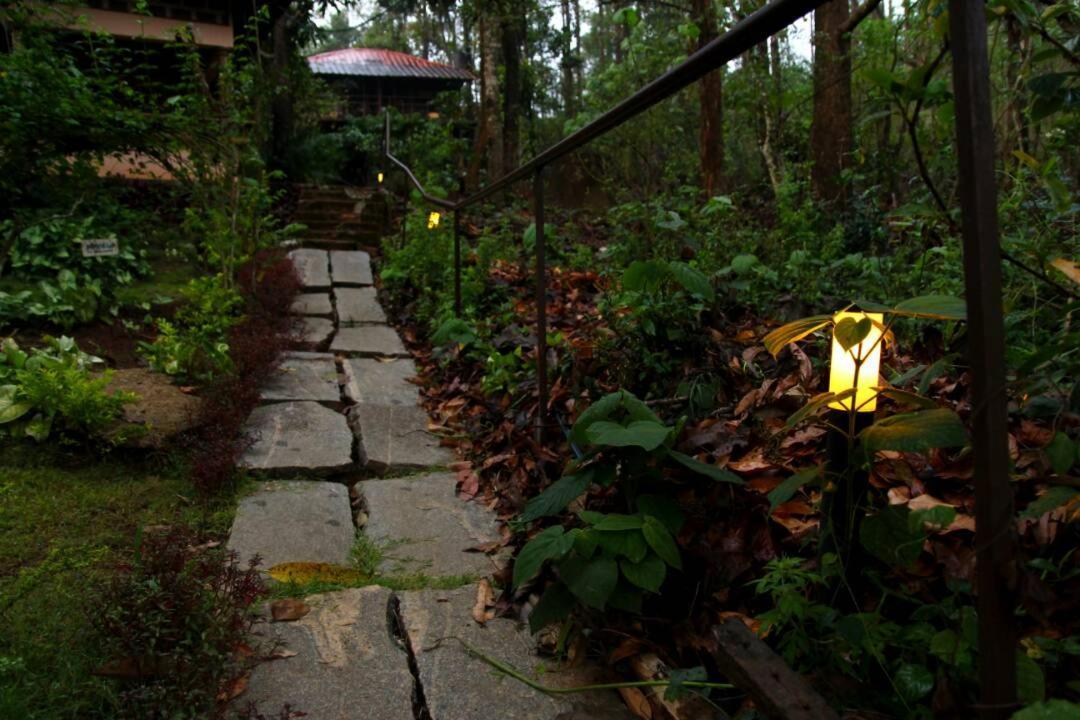 Jungle Retreat Wayanad Villa Eksteriør billede