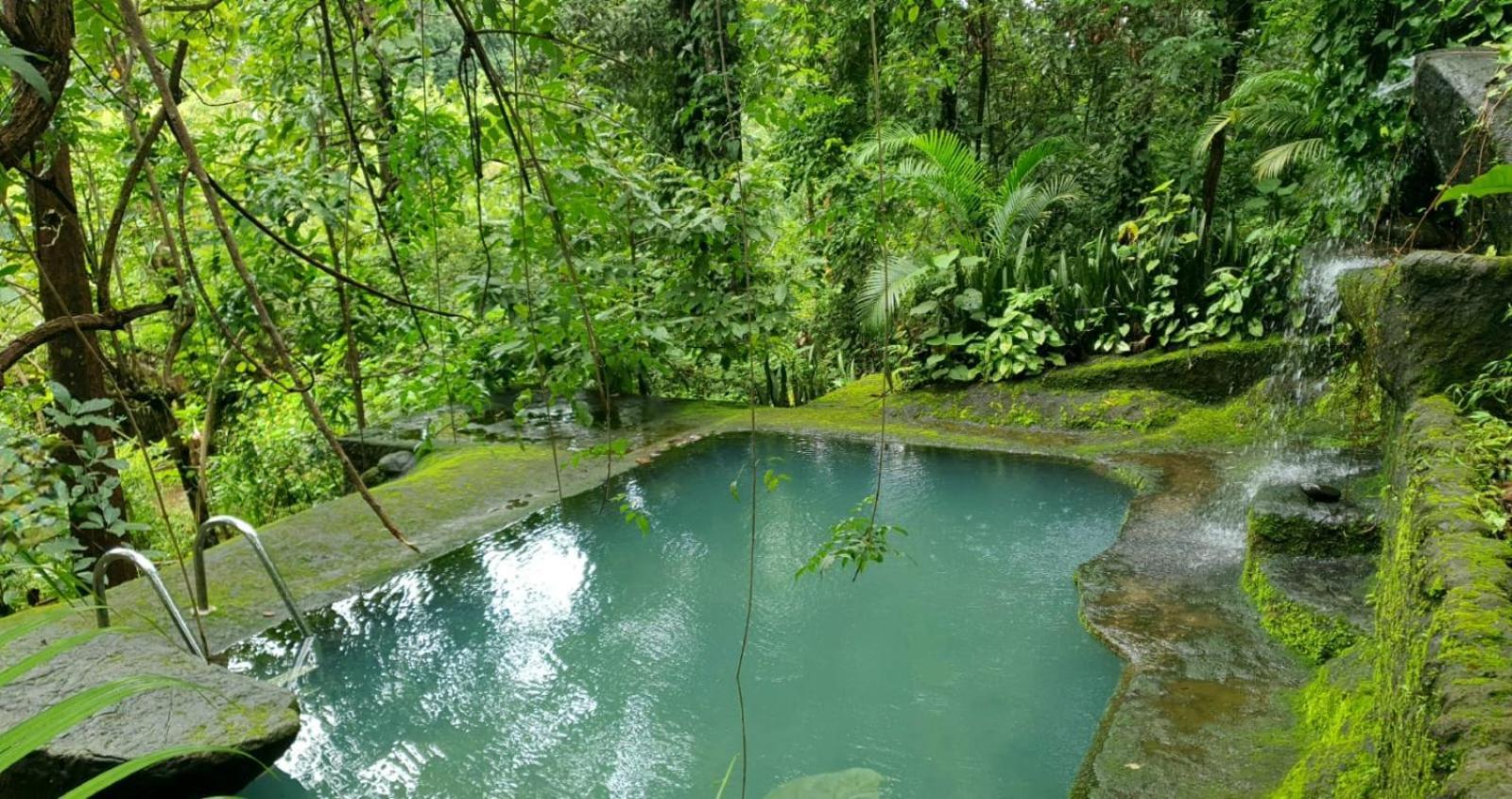 Jungle Retreat Wayanad Villa Eksteriør billede